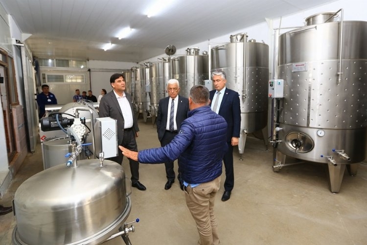 Muğla'nın Fethiye ilçesine üzüm suyu, sirke, pekmez ve şarap üretim tesisi