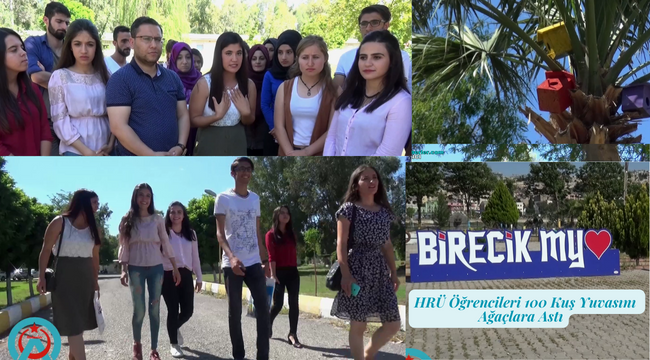 Çevreye Duyarlılık: HRÜ Öğrencileri 100 Kuş Yuvasını Ağaçlara Astı