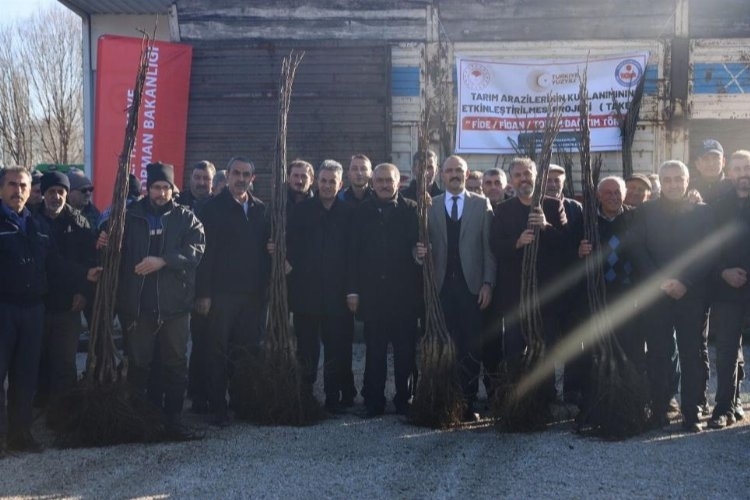 Bilecik Gölpazarı'nda Hibeli Ceviz Fidanları Toprakla Buluştu