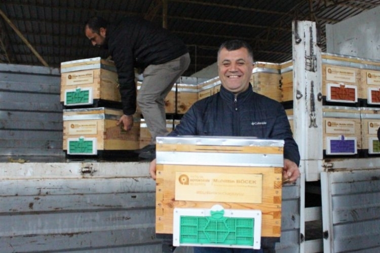 Antalya 'da Arıcıların kovan sevinci