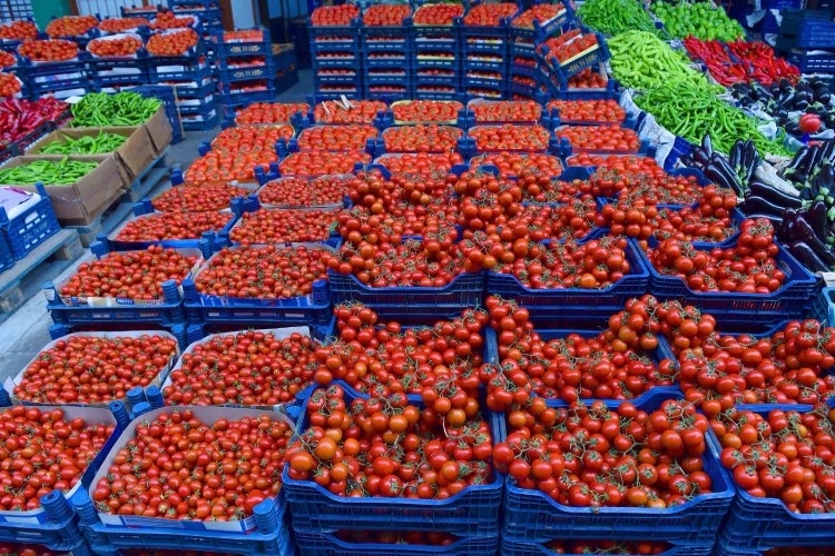 Başkentte Domates Tüketimi Rekor Kırdı