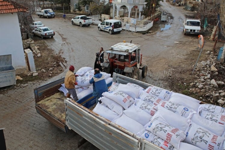 Üreticilere Süt Yemi Desteği: Tarım Sektörüne Canlılık Katılıyor