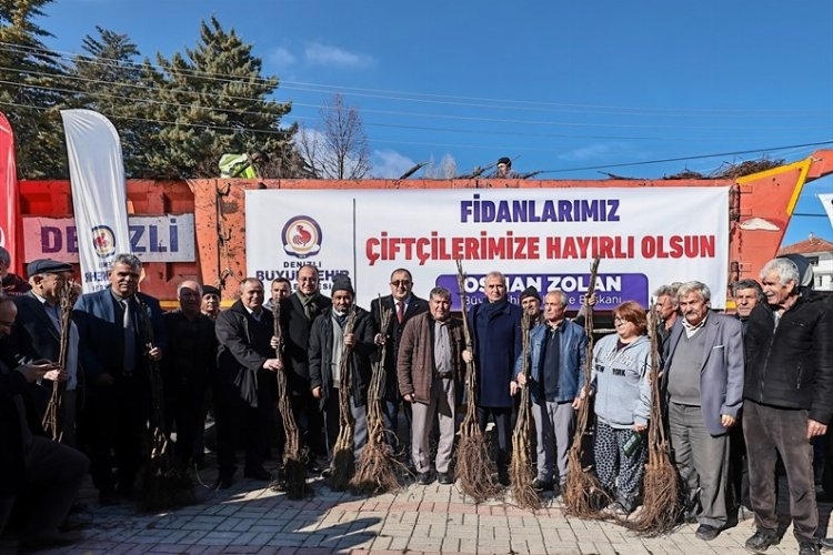 Denizli cevizin merkezi olacak
