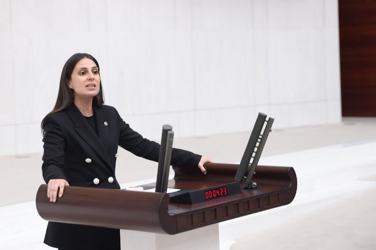 CHP'li Özcan'dan Öneri: Muğla, Turist Sayısına Göre Hak Ettiği Payı Almalıdır