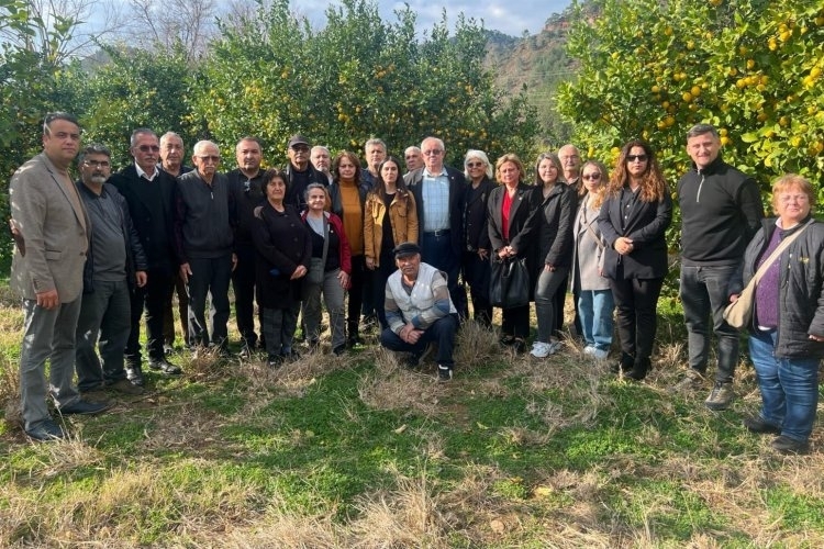 Muğla Milletvekili Özcan: &Prime;Bu Yıl Limon Üretiminde Düşüş Yaşandı