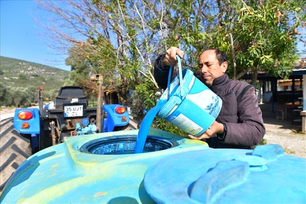 İzmir'de Zeytin Hastalığına Son: Verimde Artış Gözlemleniyor