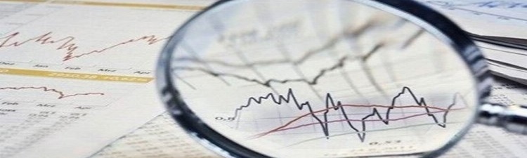 2024 Yılı Ocak Ayında Sektörel Ciro Artışları: İnşaat ve Hizmet Sektöründe Büyük Artışlar