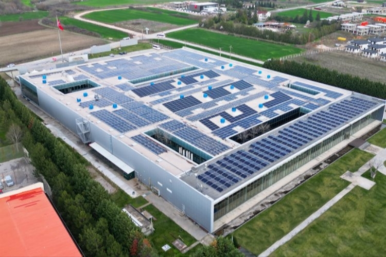 CW Enerji: Güneş Enerjisiyle Temiz Gelecek İçin Adım Atıyor