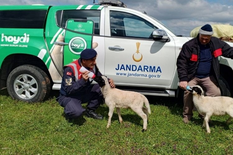Edirne Jandarması, Hayvan Sağlığı Konusunda Bilgilendirme Çalışmalarına Başladı