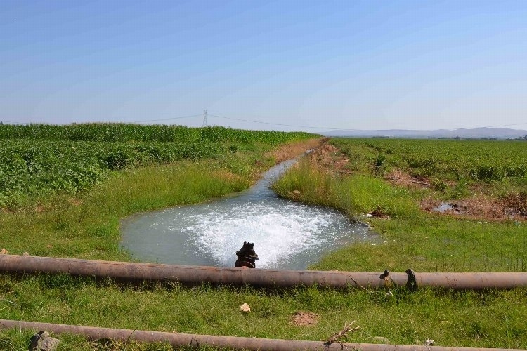 Dicle Elektrik'ten Tarımsal Sulama Abonelerine Kesin Uyarı: Borç Ödenmezse Elektrik Kesilecek!