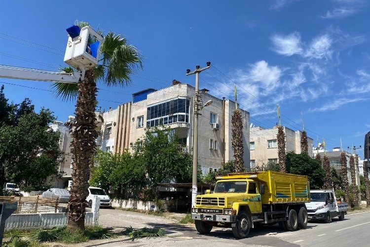 Milas'taki Elektrik Kesintisi: Kriz Fırsata Dönüştü