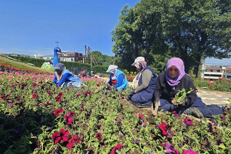 Bursa Osmangazi'de Çiçekler Açıyor