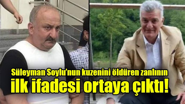 Bakan Soyulu'nun Kuzenini Öldüren Şahsın İlk İfadesi, Sinirlendim
